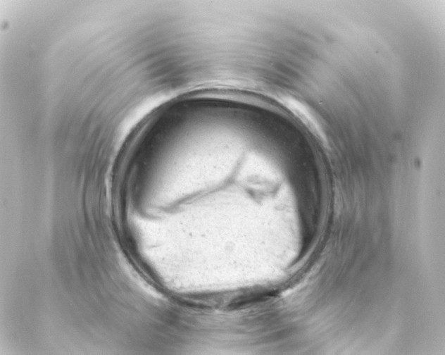 X0000088651238200706221602