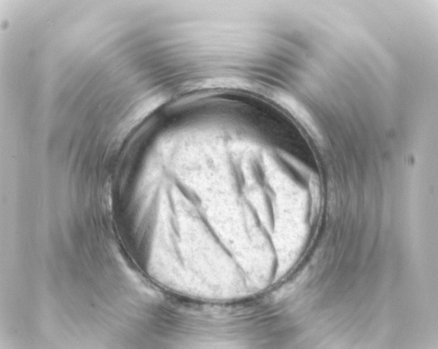 X0000088651241200706221602