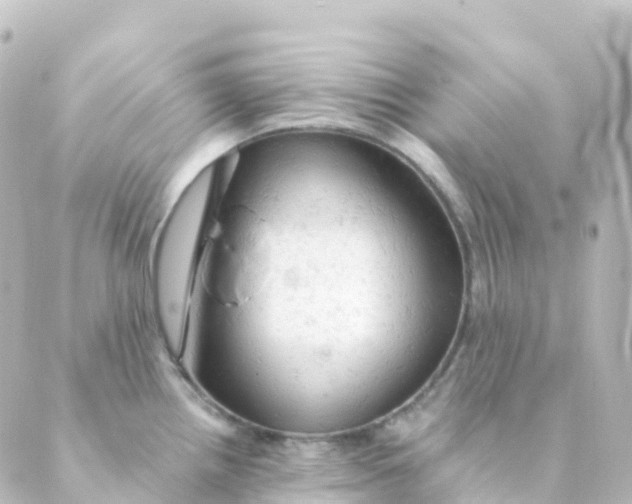 X0000088651242200706221602