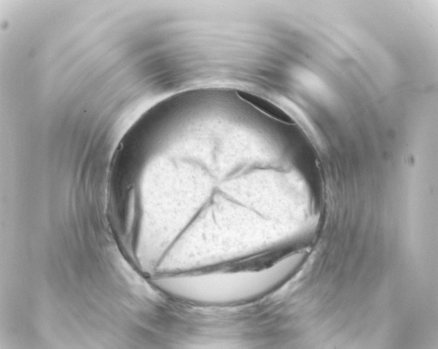 X0000088651244200706221602