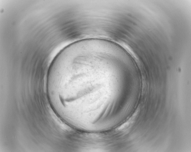 X0000088651246200706221602