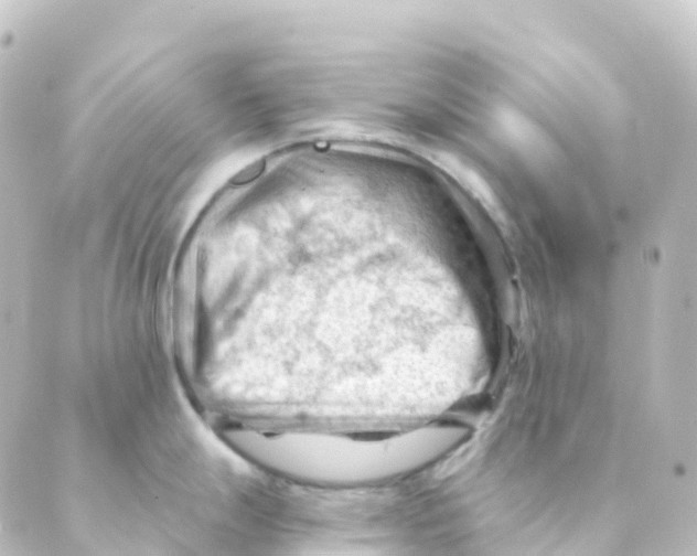 X0000088651247200706221603