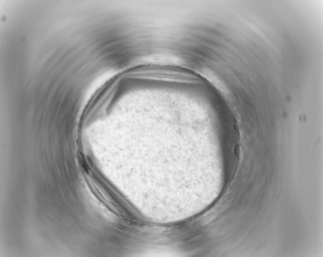 X0000088651248200706221603