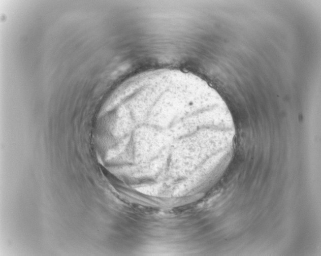 X0000088651249200706221602