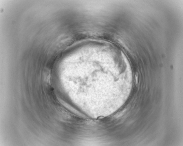 X0000088651251200706221602