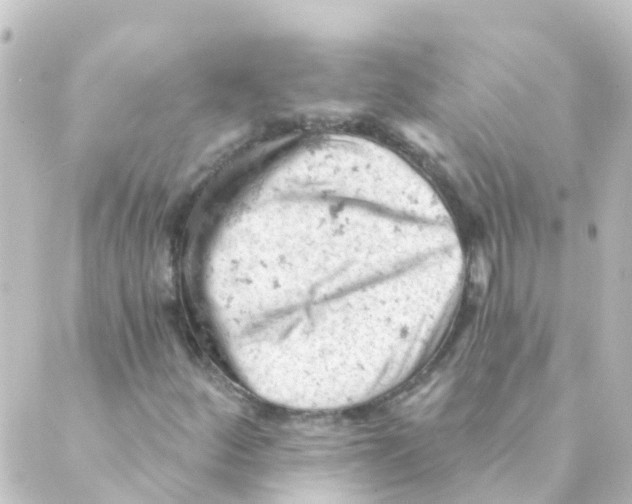 X0000088651252200706221602