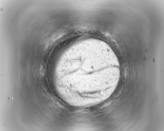 X0000088651253200706221602