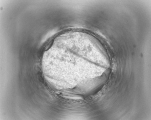 X0000088651255200706221602