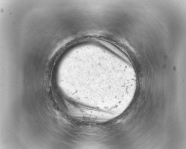 X0000088651256200706221602