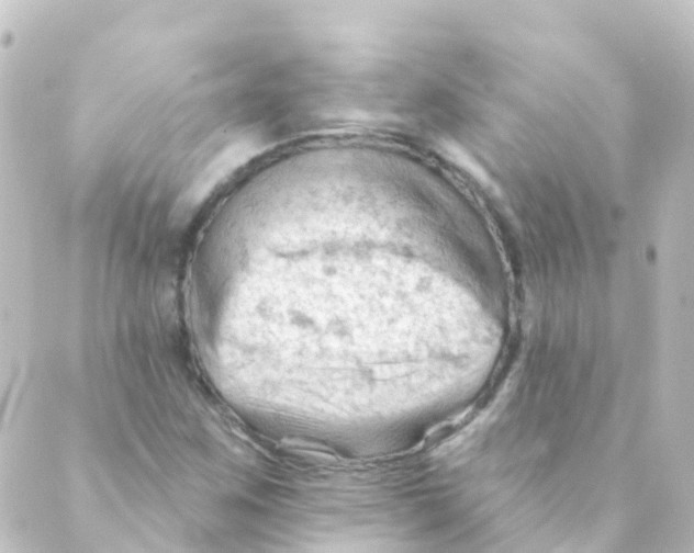 X0000088651259200706221602