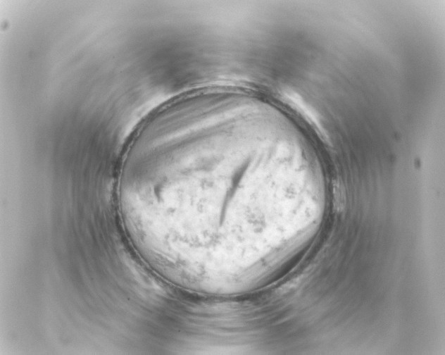 X0000088651260200706221602