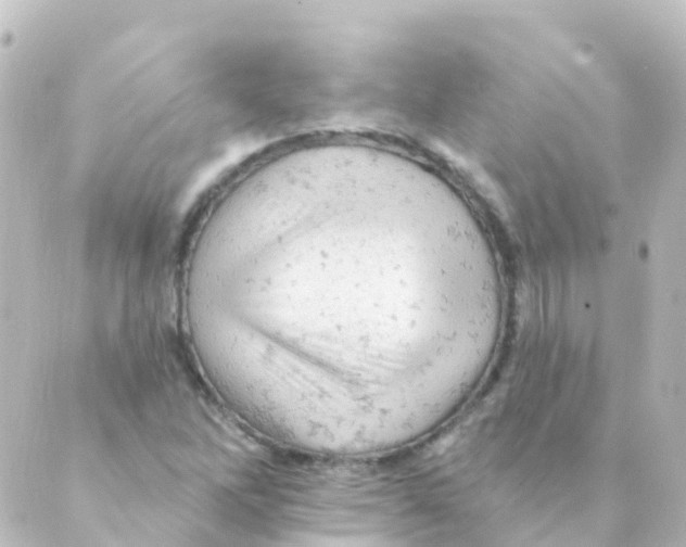 X0000088651262200706221602