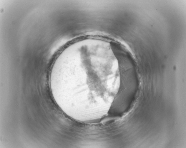 X0000088651263200706221602