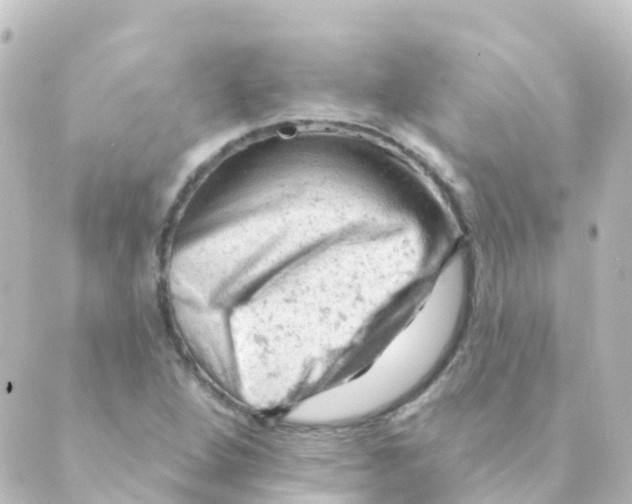 X0000088651264200706221602