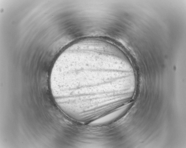 X0000088651265200706221601