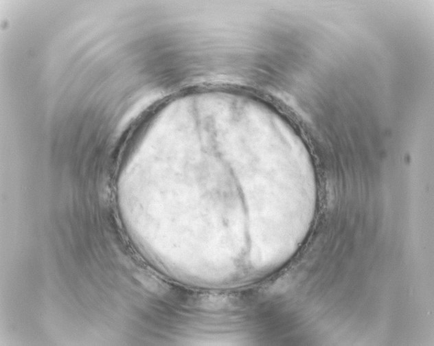 X0000088651266200706221601