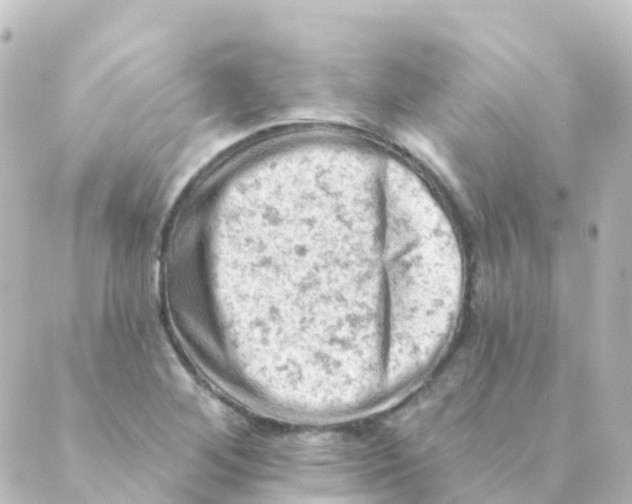 X0000088651268200706221601