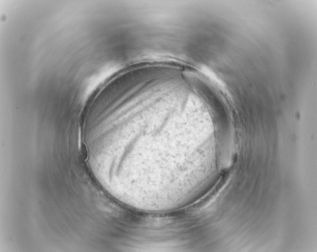 X0000088651269200706221601