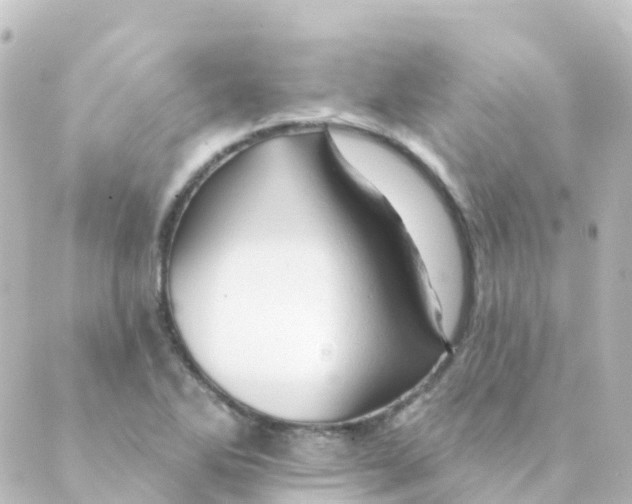 X0000088651270200706221601