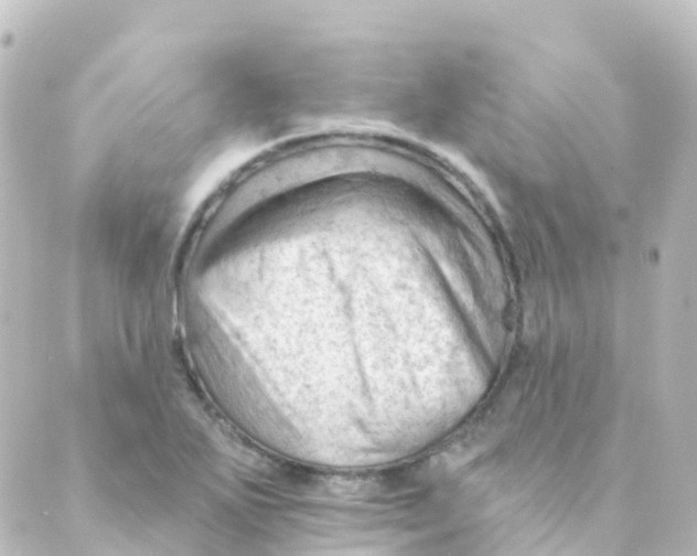 X0000088651271200706221601