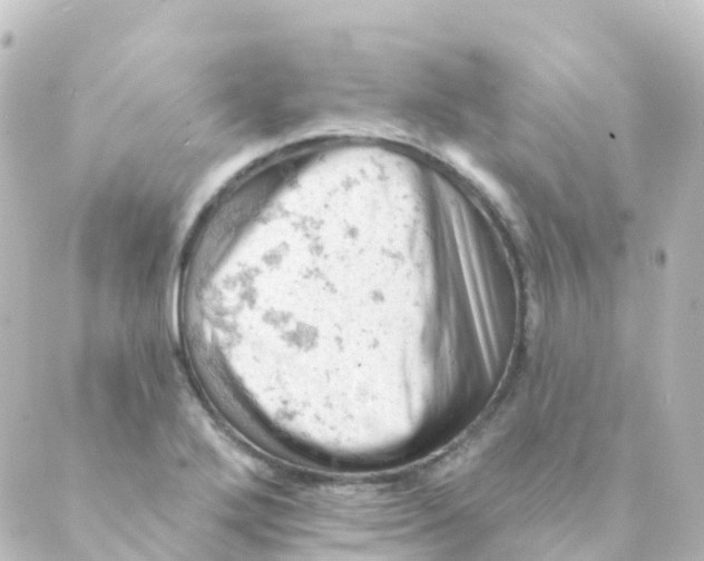 X0000088651272200706221601