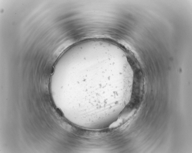 X0000088651273200706221601