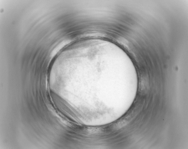 X0000088651274200706221601