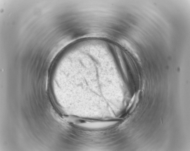 X0000088651276200706221601