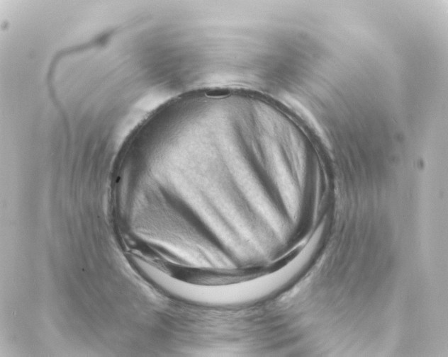 X0000088651277200706221601