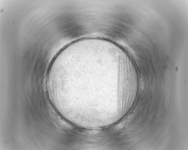 X0000088651278200706221601