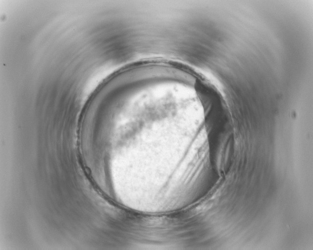 X0000088651279200706221601