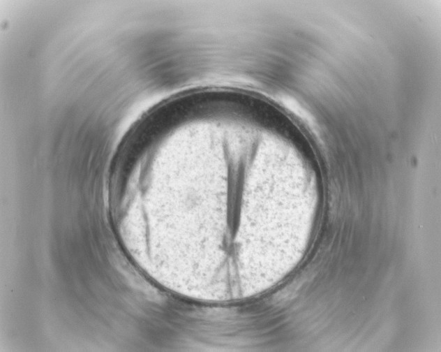 X0000088651280200706221601