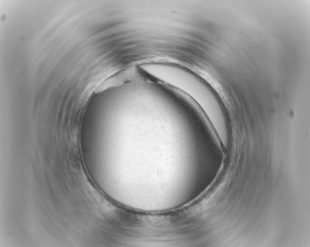 X0000088651281200706221601