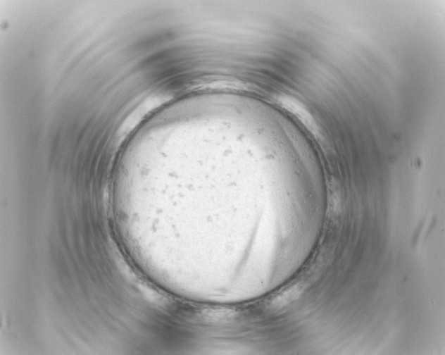 X0000088651282200706221601