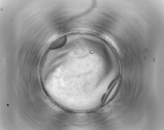 X0000088651283200706221601