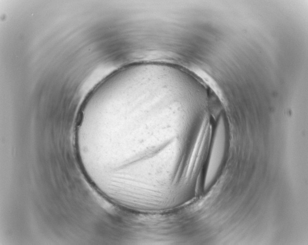 X0000088651285200706221601