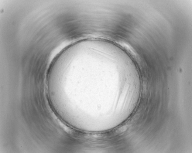 X0000088651286200706221601