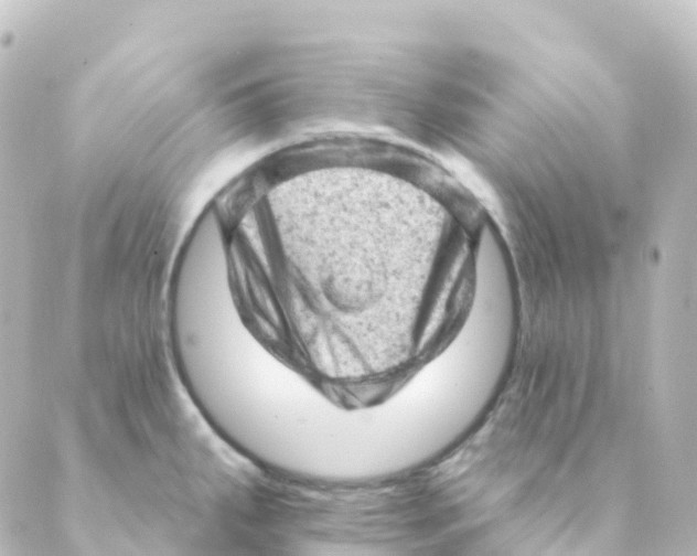 X0000088651287200706221601