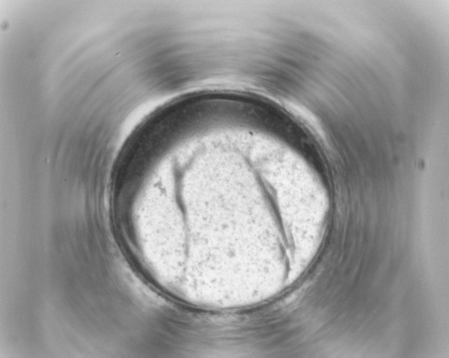 X0000088651288200706221601