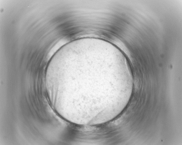 X0000088651290200706221601