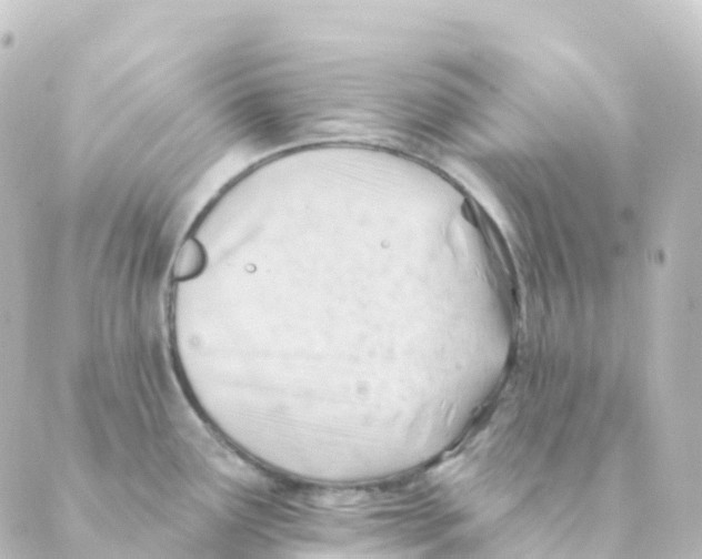 X0000088651291200706221601