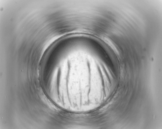 X0000088651292200706221601