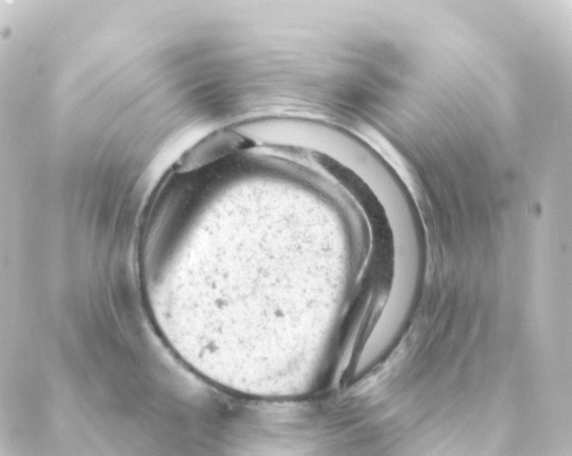 X0000088651293200706221601