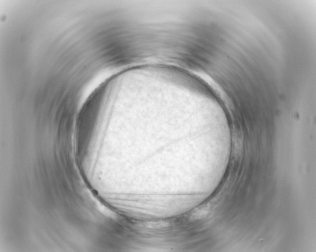 X0000088651294200706221601