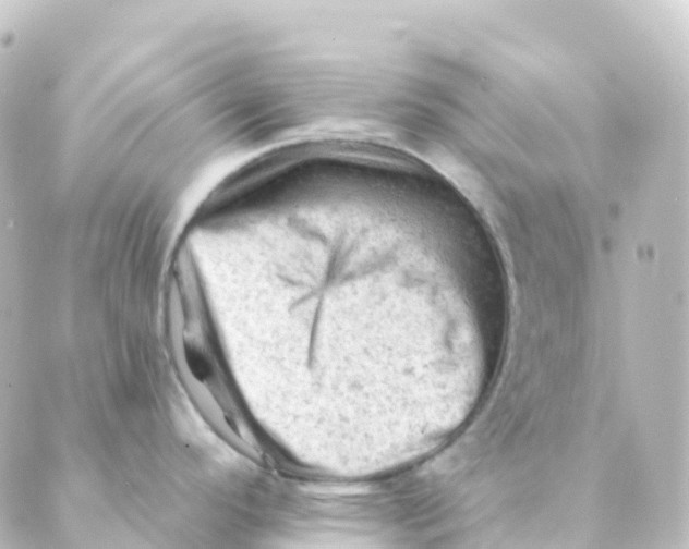 X0000088651296200706221601