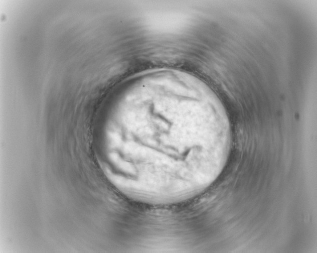 X0000088651297200706221600