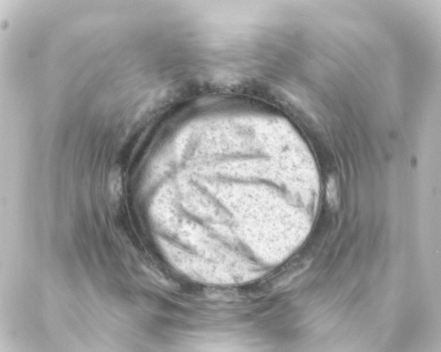 X0000088651299200706221600