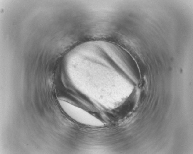 X0000088651300200706221600