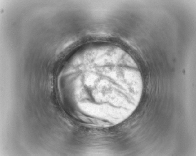 X0000088651301200706221600