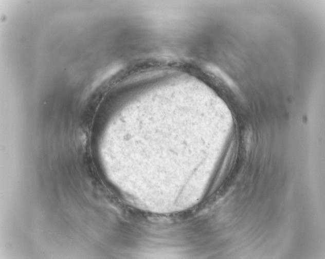 X0000088651302200706221600